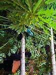 IMG_20240314_183542_Original