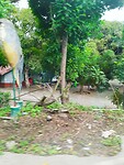 IMG_20240315_072721_Original