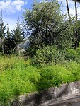 IMG_20240313_150523_Original