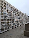 IMG_20240512_100112_Original