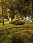 IMG_20240605_181841_Original