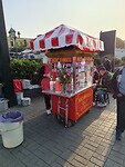 IMG_20240727_170414_Original