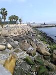 IMG_20240825_122745_Original