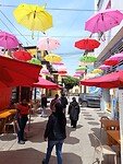 IMG_20240825_125222_Original