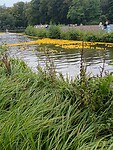 IMG_20240922_151817_Original