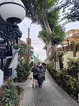 IMG_20241020_145330_Original
