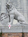 IMG_20241011_144235_Original