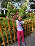 IMG_20241117_153447_Original