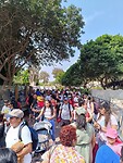 IMG_20241117_142255_Original