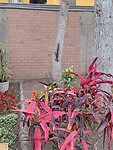 IMG_20241117_164228_Original