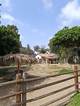 IMG_20241117_134403_Original