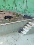 IMG_20241117_135727_Original