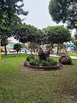 IMG_20241125_083929_Original