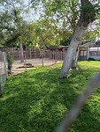 IMG_20241117_152516_Original