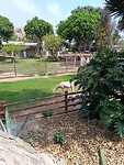 IMG_20241117_134216_Original