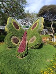 IMG_20241117_153434_Original