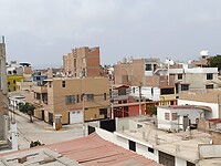 IMG_20241130_135314_Original