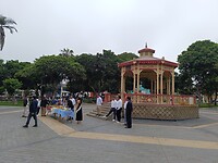 IMG_20241125_082452_Original