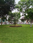 IMG_20241125_083843_Original