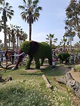 IMG_20241117_151131_Original
