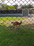 IMG_20241117_152136_Original