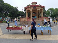 IMG_20241125_082155_Original