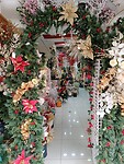 IMG_20241219_173336_Original