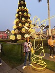 IMG_20241219_184331_Original
