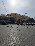 IMG_20241219_161459_Original