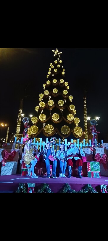 Kerstboom Plaza de Gobierno Lima