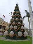 IMG_20241219_145540_Original