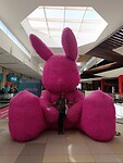 IMG_20241217_144054_Original