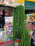 IMG_20241206_122812_Original