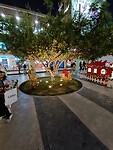 IMG_20241207_185427_Original