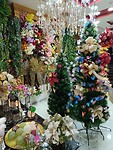 IMG_20241219_173311_Original