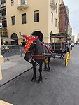 IMG_20241219_163850_Original