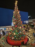 IMG_20241207_190451_Original