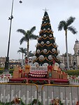 IMG_20241219_145746_Original