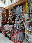 IMG_20241219_173324_Original