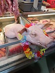 IMG_20241230_171123_Original