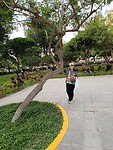 IMG_20241207_170615_Original