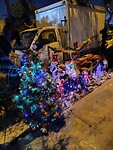 IMG_20241206_192951_Original