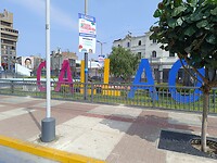IMG_20241229_094625_Original