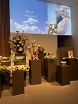 IMG_0203