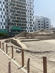 IMG_8953