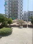 IMG_8954