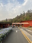 IMG_8713
