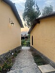 IMG_8729