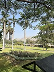 IMG_8777