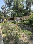 IMG_8784